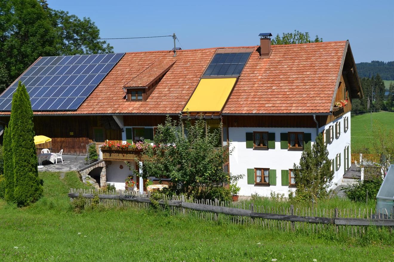 Bild von Buchenberg Hans